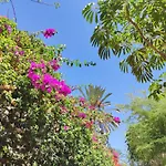 Zinnia * 플라야블랑카