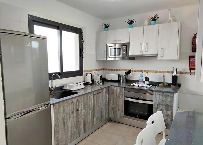 Zinnia 普拉亚布兰卡