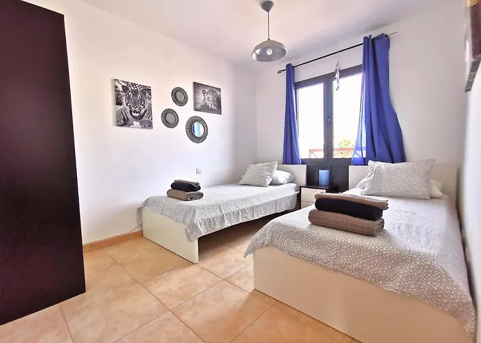 Zinnia * 普拉亚布兰卡