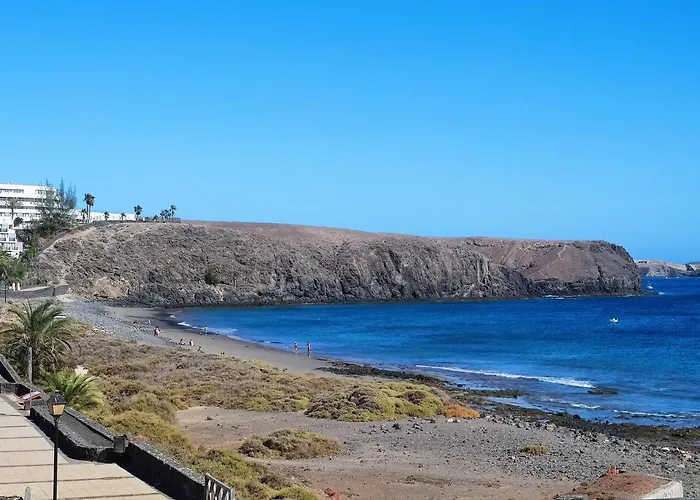 Zinnia * 普拉亚布兰卡